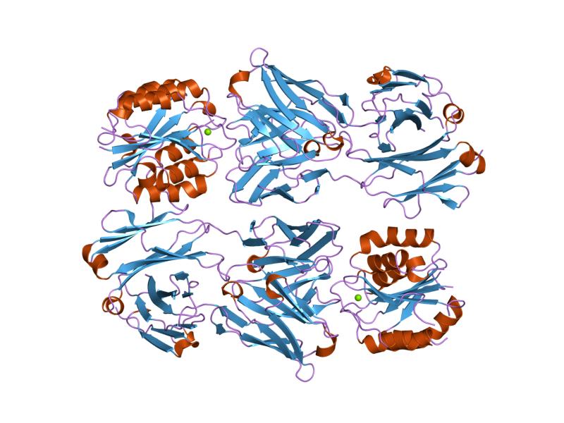 File:PDB 2b2x EBI.jpg