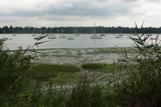 File:Potter's Reach of the Orwell estuary - geograph.org.uk - 1432814.jpg