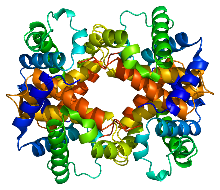 File:Protein HBA1 PDB 1a00.png - Wikimedia Commons