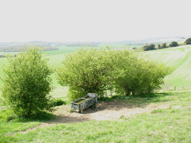 File:Sheltered trough - geograph.org.uk - 778356.jpg