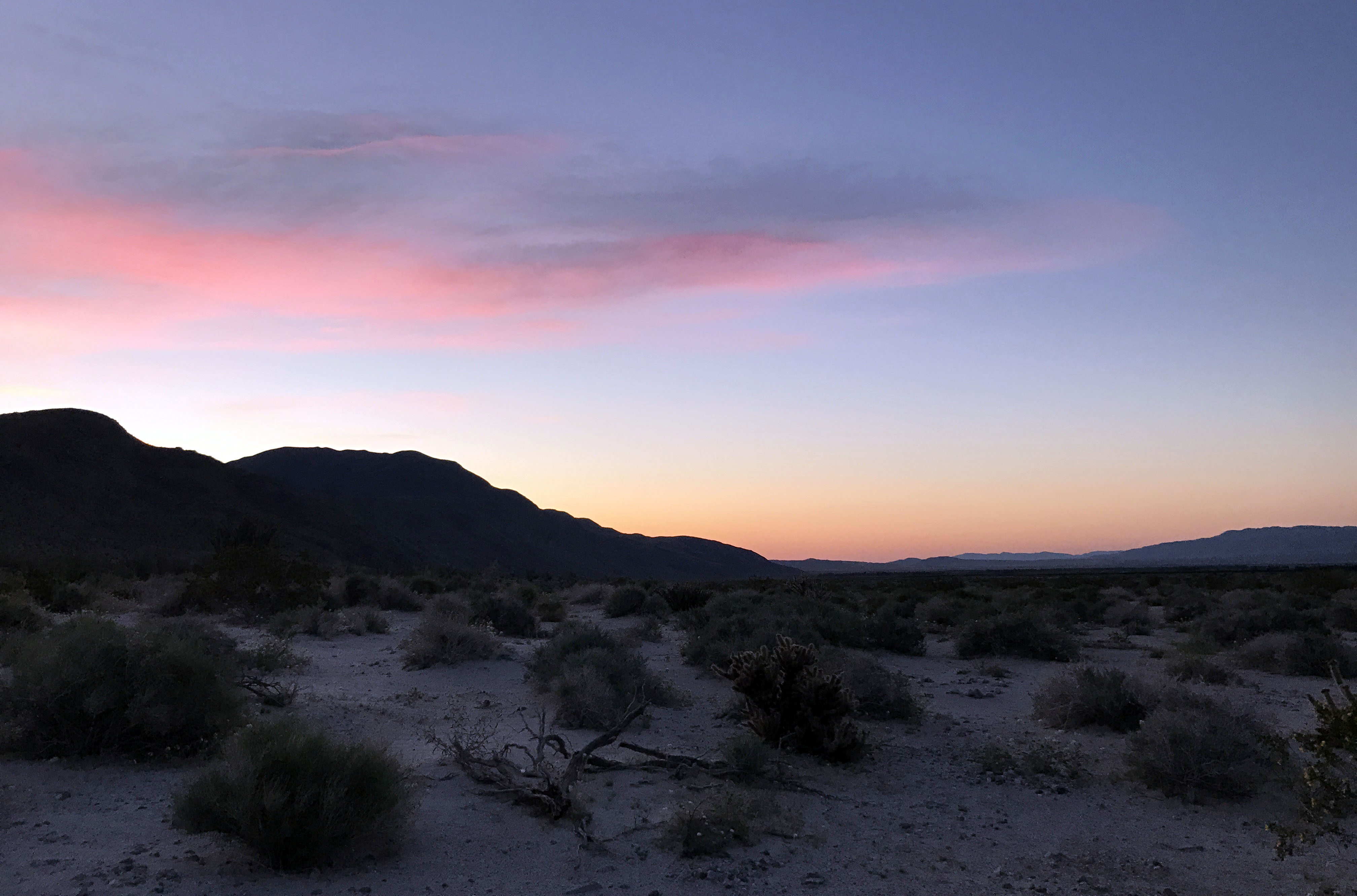 Desert state. Anza-Borrego Desert State Park.