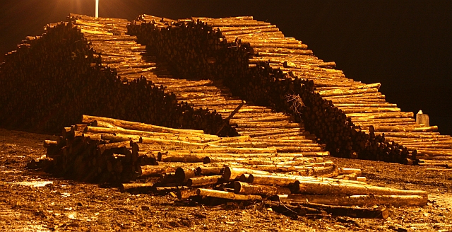 File:Timber Awaiting Embarkation - geograph.org.uk - 664446.jpg