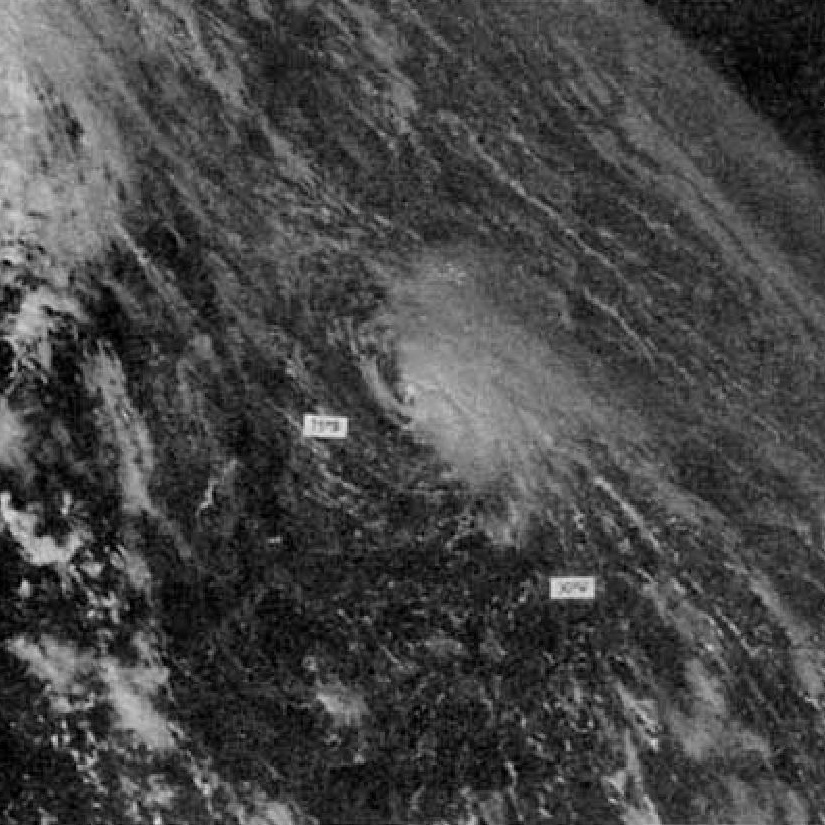 File:Tropical Storm Irma (1978).JPG