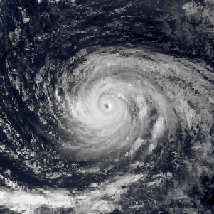 Typhoon Vera (1986)