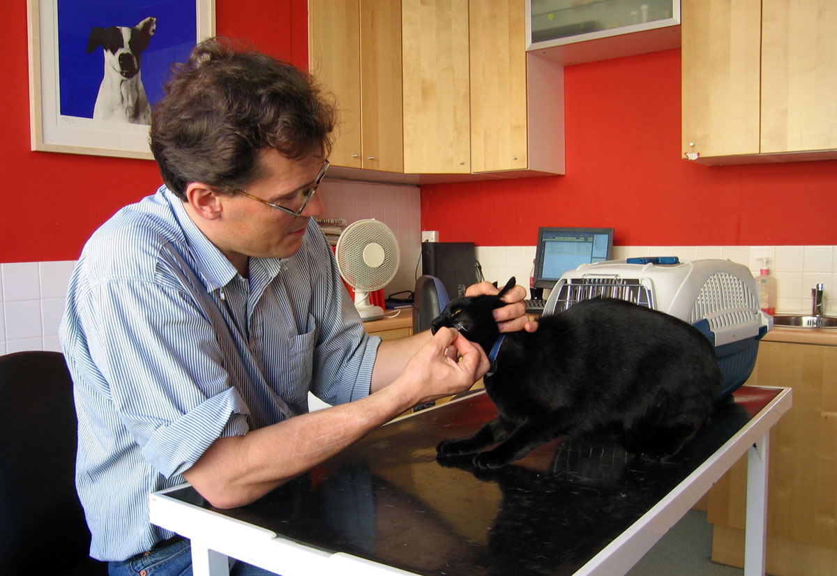 Veterinaire Wikipedia