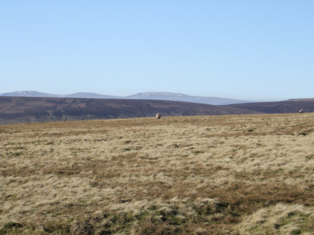 File:View from Harthope Head - geograph.org.uk - 699480.jpg