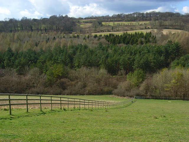 Woodland, Ibstone - geograph.org.uk - 743646