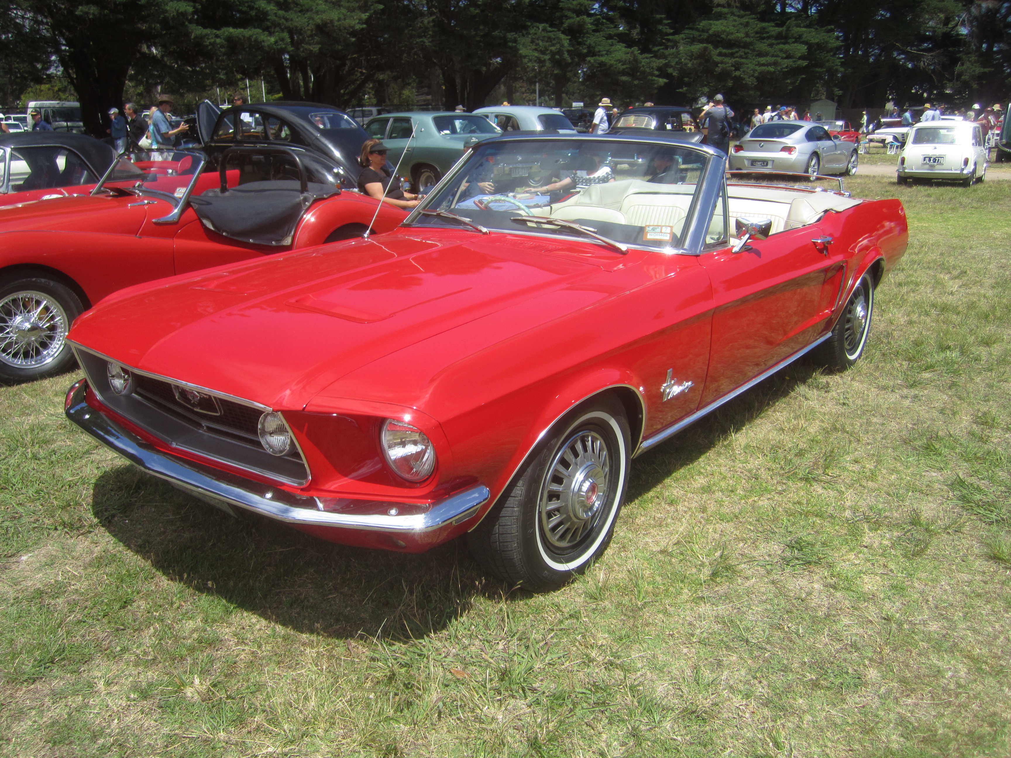 File 1968 Ford Mustang Convertible 2 Jpg Wikimedia Commons