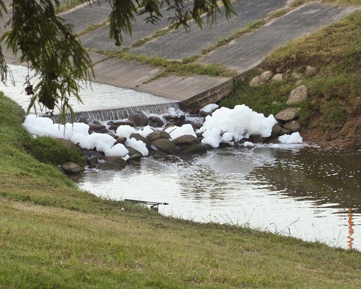 File:All Right, Who Dumped the Suds in the Ditch? (5149409427).jpg