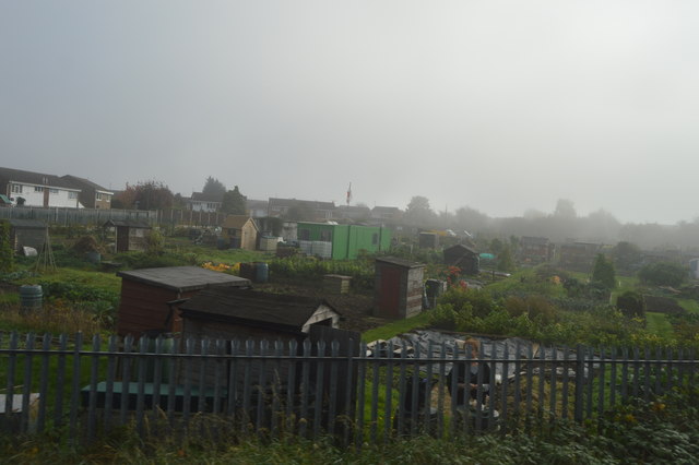 File:Allotments in mist - geograph.org.uk - 5097357.jpg