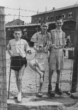 Buchenwald Children 13060.jpg