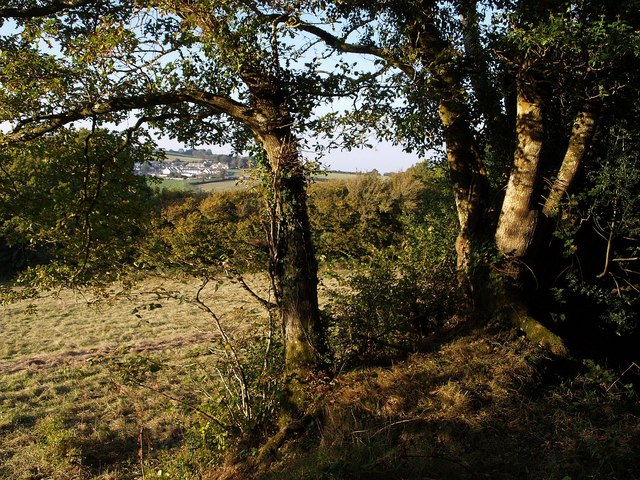 File:By the path to Poole Grove - geograph.org.uk - 580927.jpg