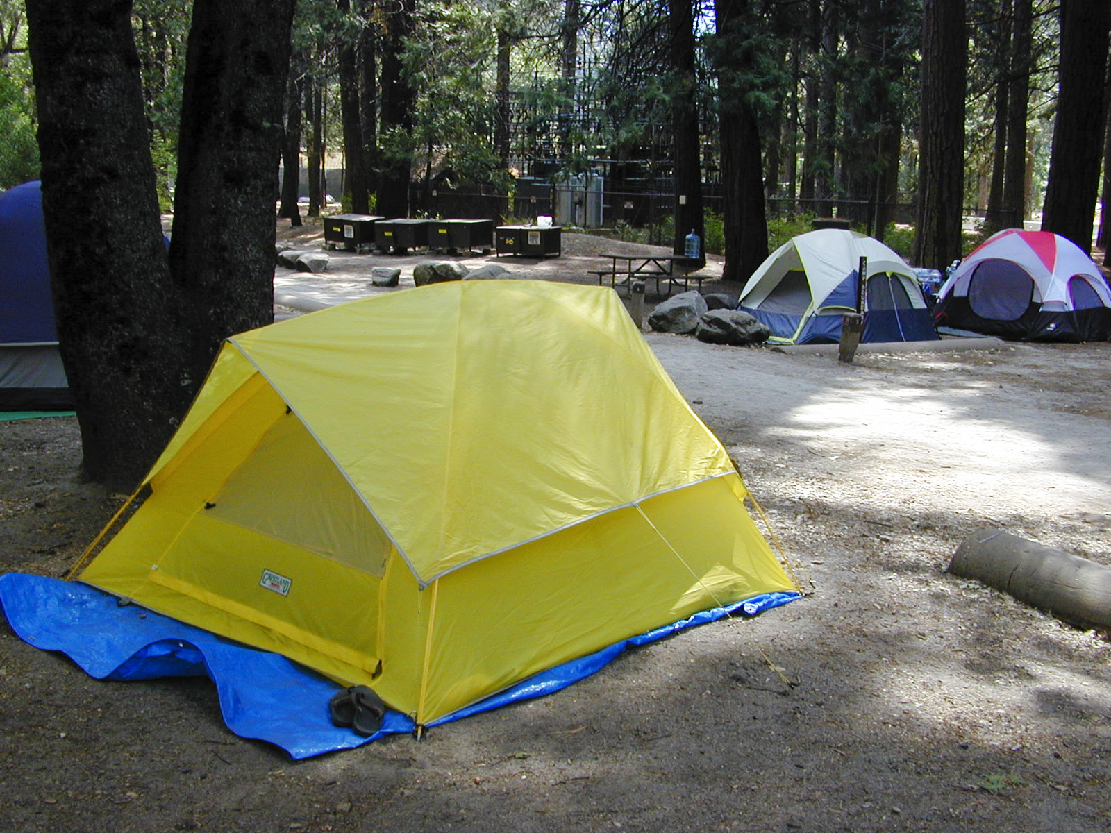 Палатка camp 4. Йосемити 4 Кэмп. Camp4 910538. Кемпинг 4 стихии. Палатка Raffer Family Camp IV.