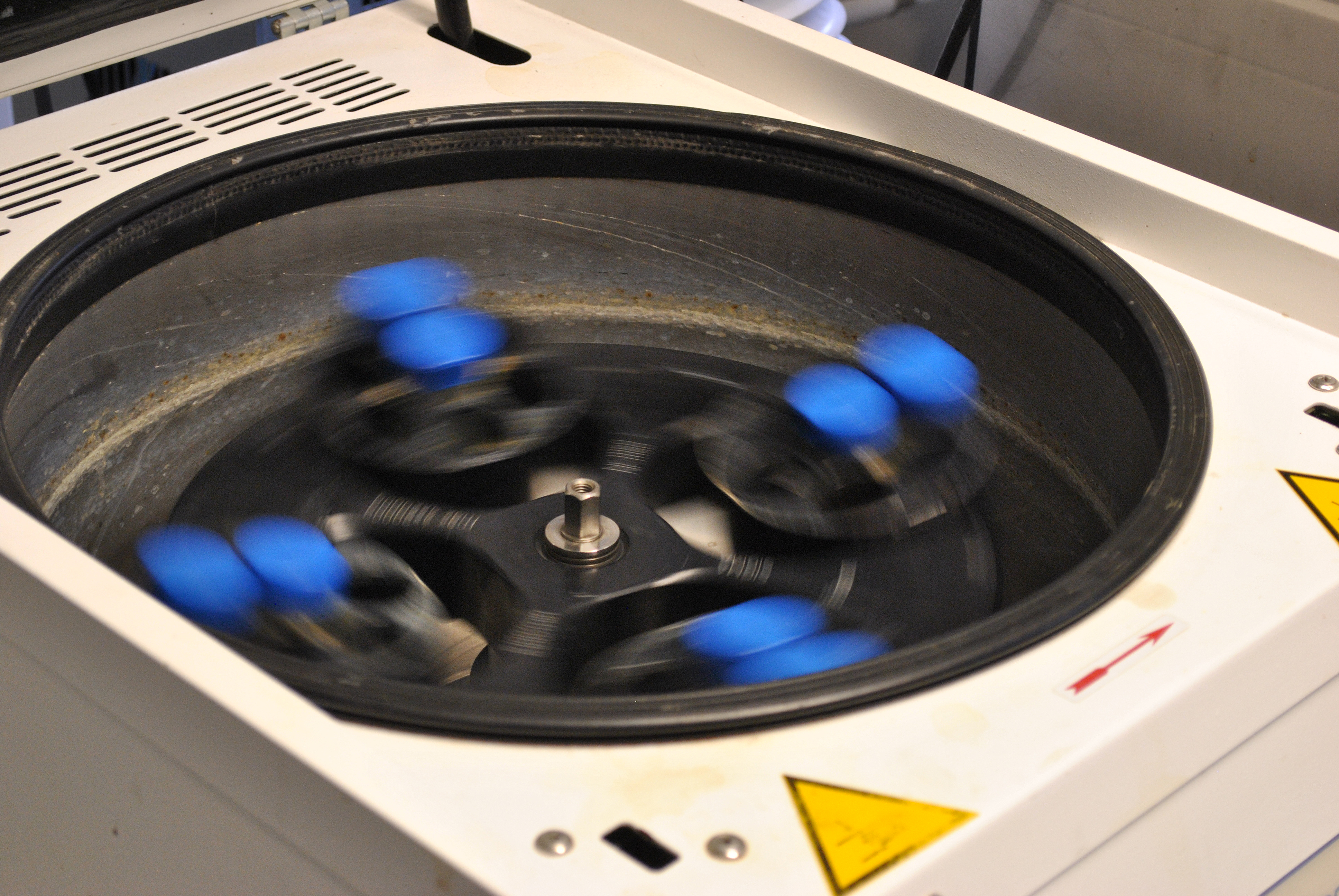 File:Centrifuge with samples rotating slowly.jpg - Wikimedia Commons