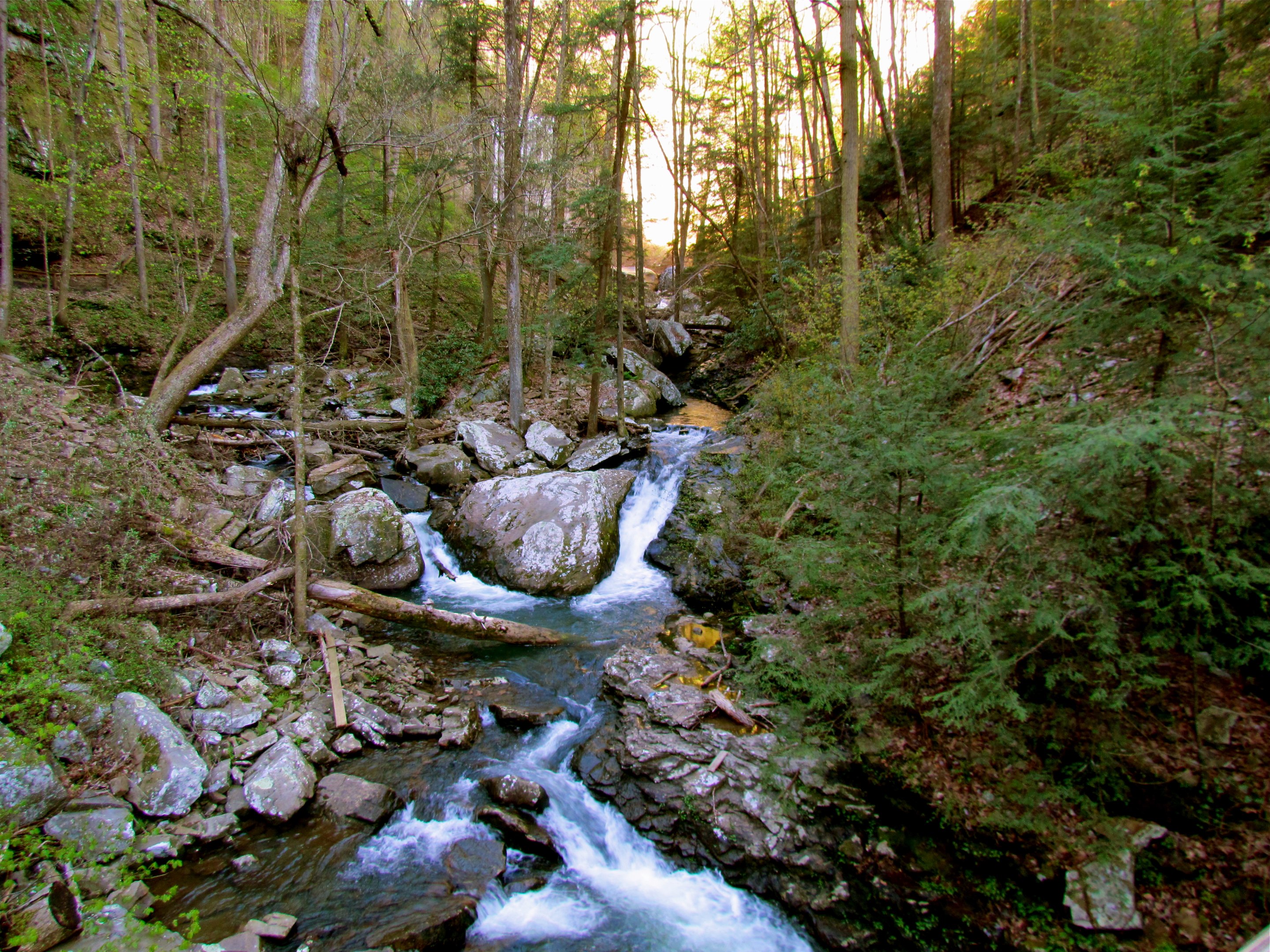 Spring hike