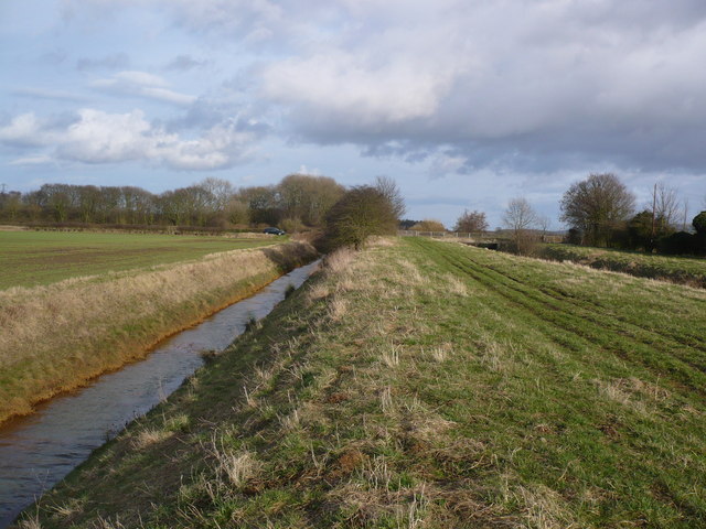 File:Dike at Brompton Ings - geograph.org.uk - 1178796.jpg