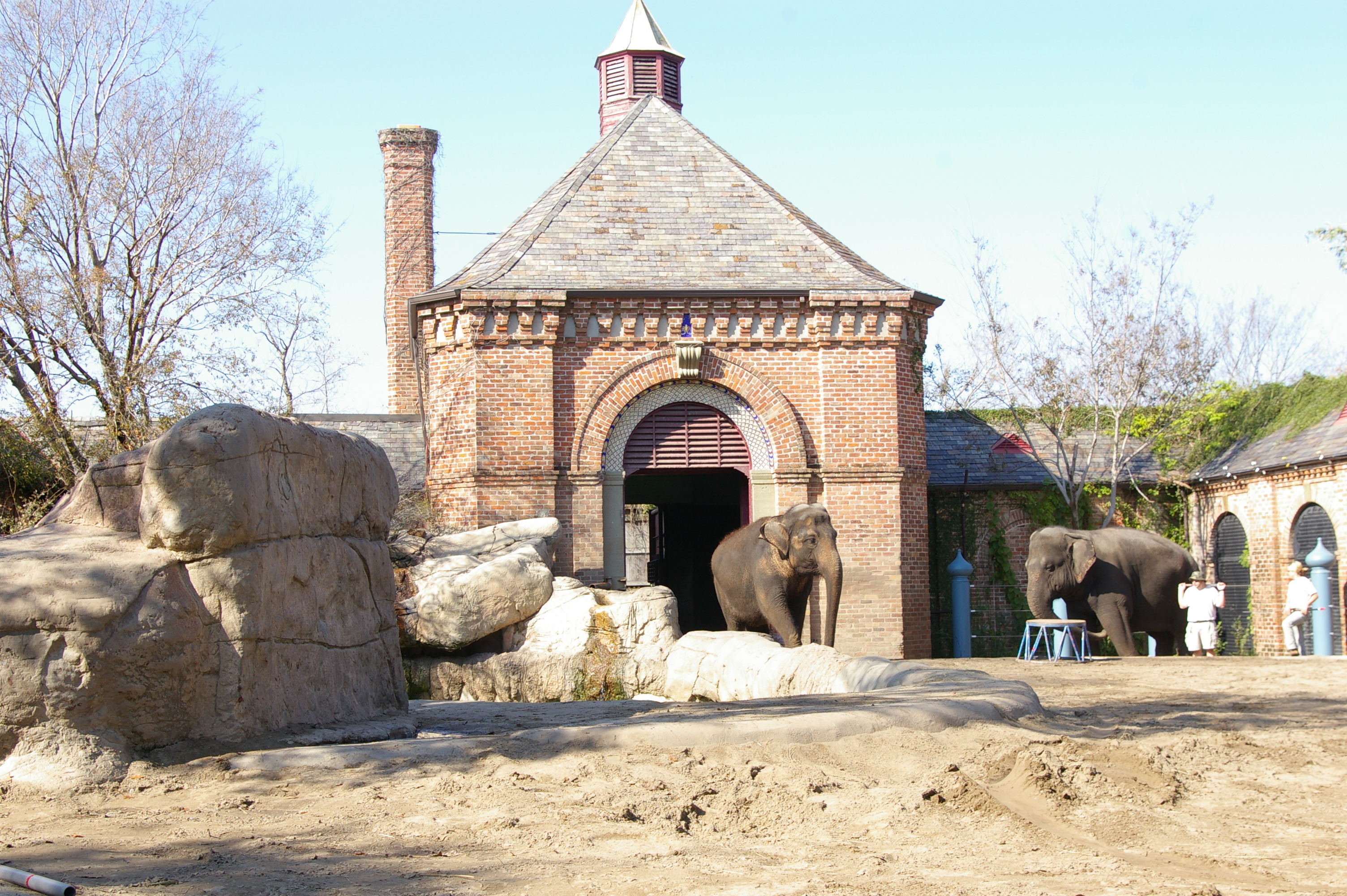 Elephant house