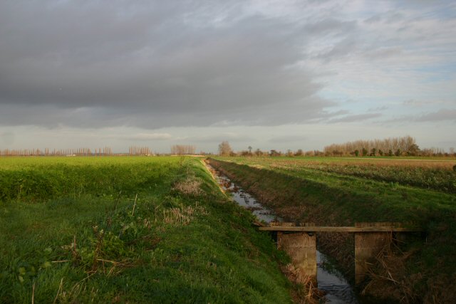 File:Fenland drain - geograph.org.uk - 289476.jpg