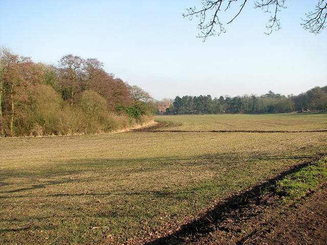 File:Field west of Roos Hall, Beccles - geograph.org.uk - 3338307.jpg