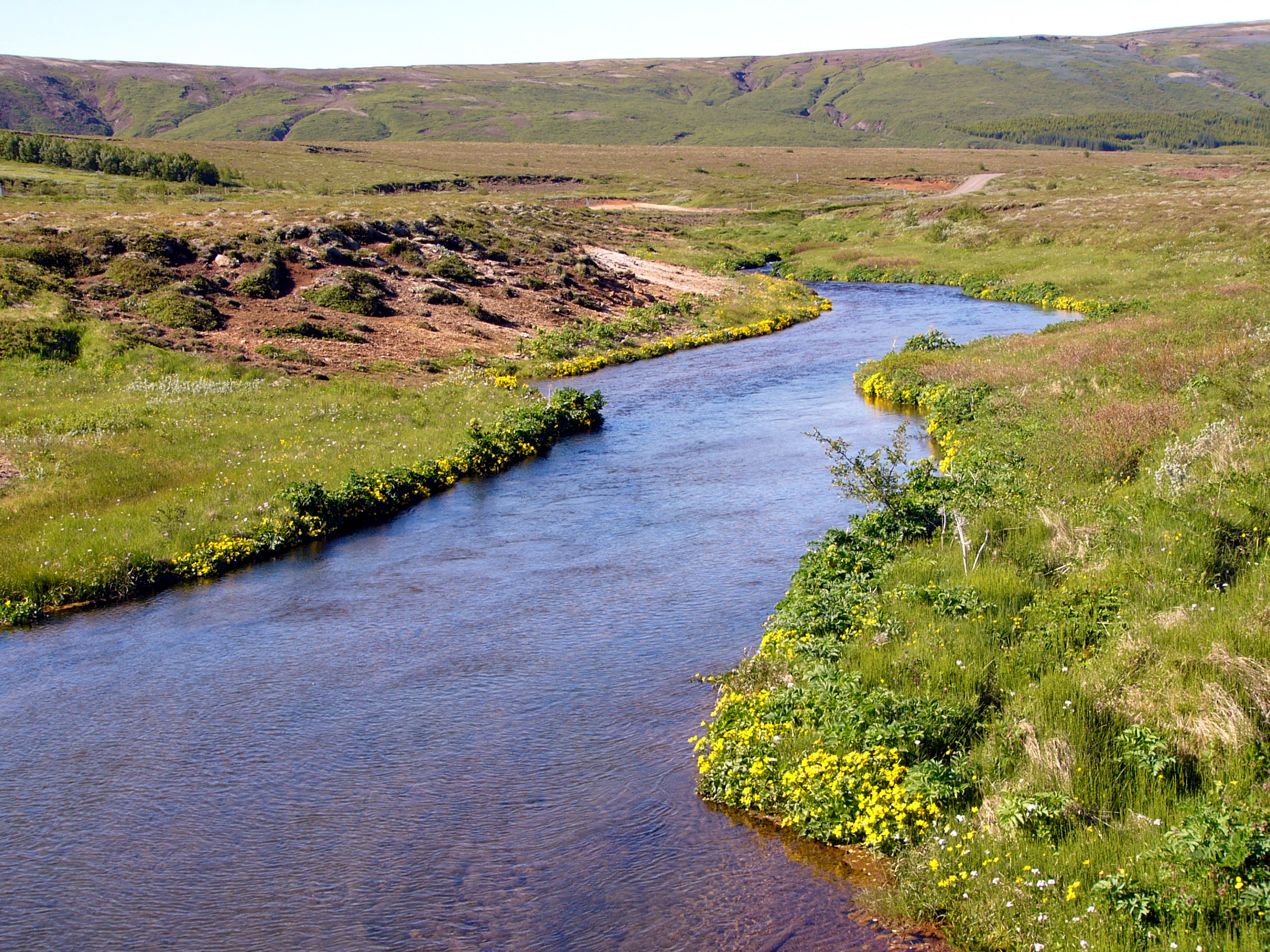 Picture of a river generated by a geysir