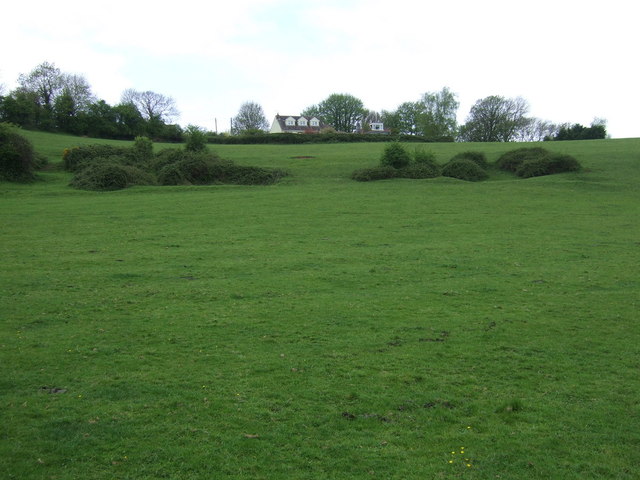 File:Grazing, Churchill Batch - geograph.org.uk - 3455965.jpg