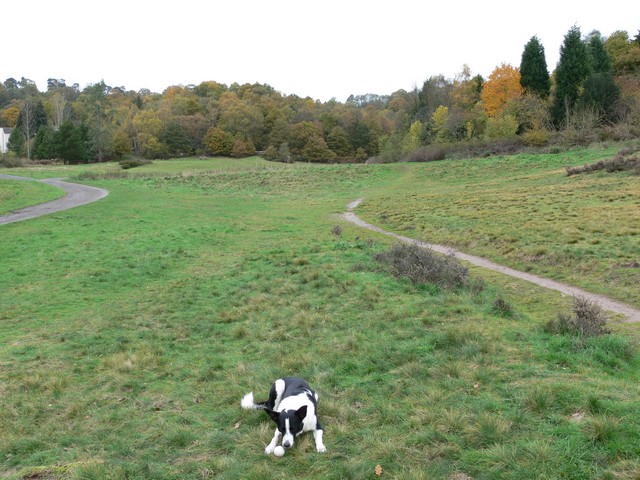 Habberley Valley - geograph.org.uk - 361902