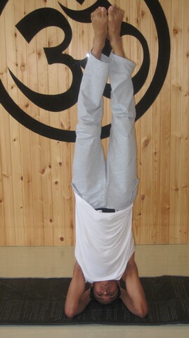 File:Head pose shirshasana.jpg