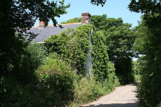 File:Ivy Covered Cottage - geograph.org.uk - 189368.jpg