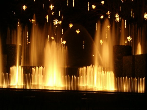 File:Longwood fountain night display.jpg