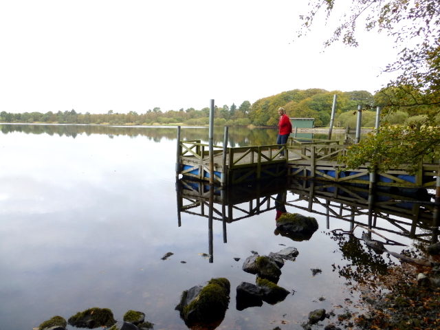 Loughmacrory Lough - geograph.org.uk - 4187875