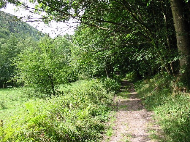 File:Mortimer Trail - geograph.org.uk - 62291.jpg