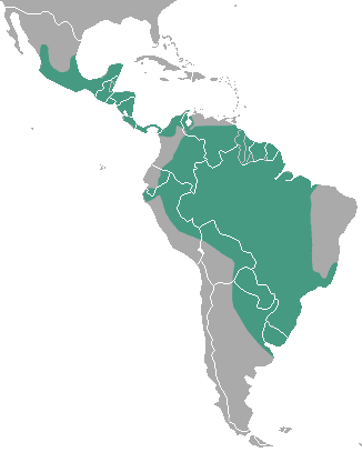 File:Neotropical Otter area.png