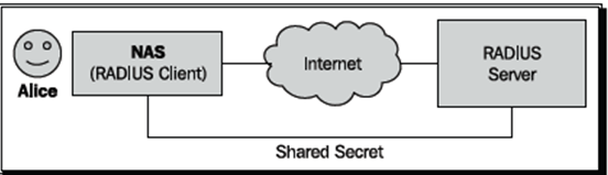 network access server