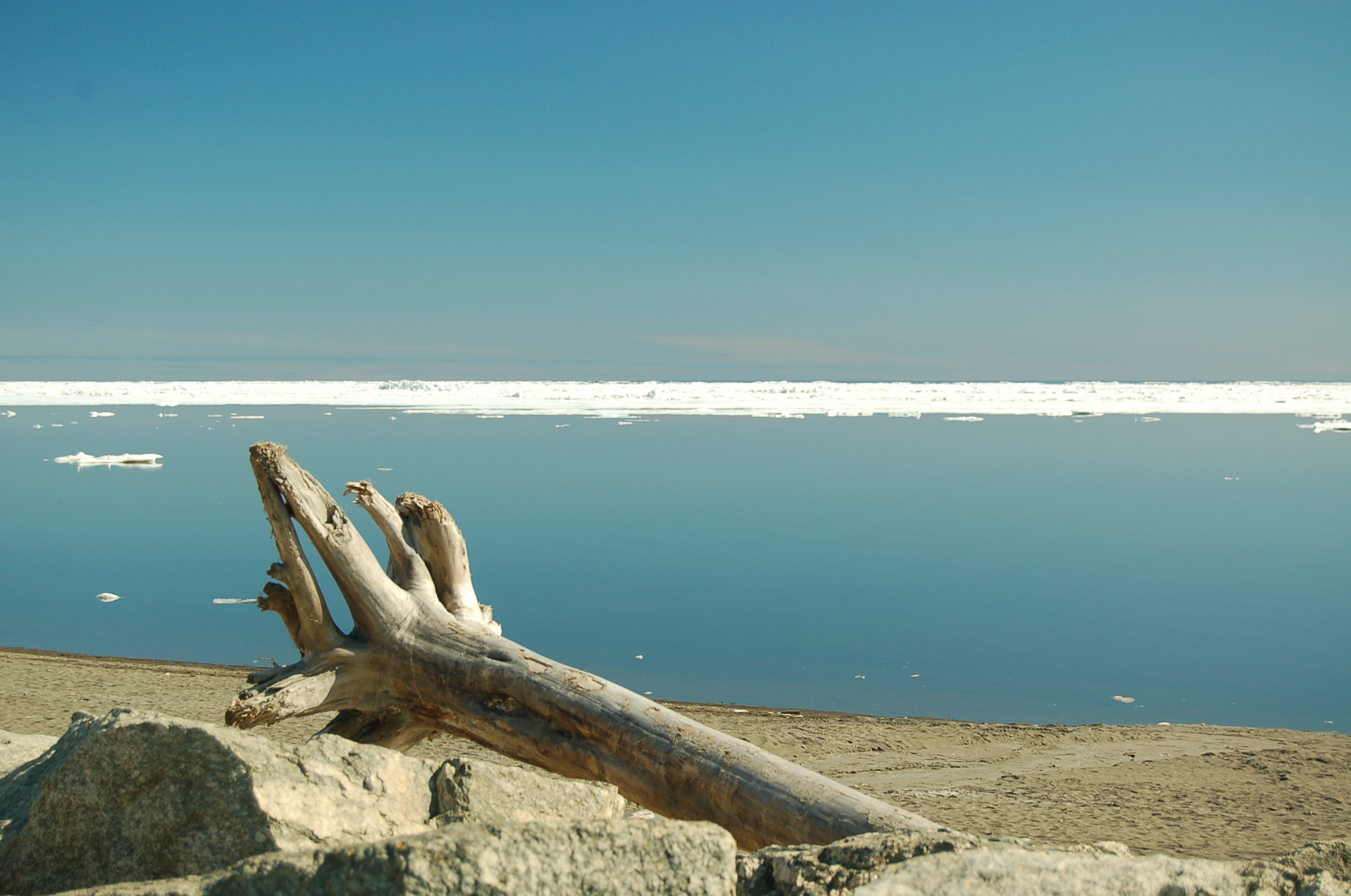 Берингов море. Море Беринга. Берингово море. Красота Берингова моря. Чудовища Берингова моря.