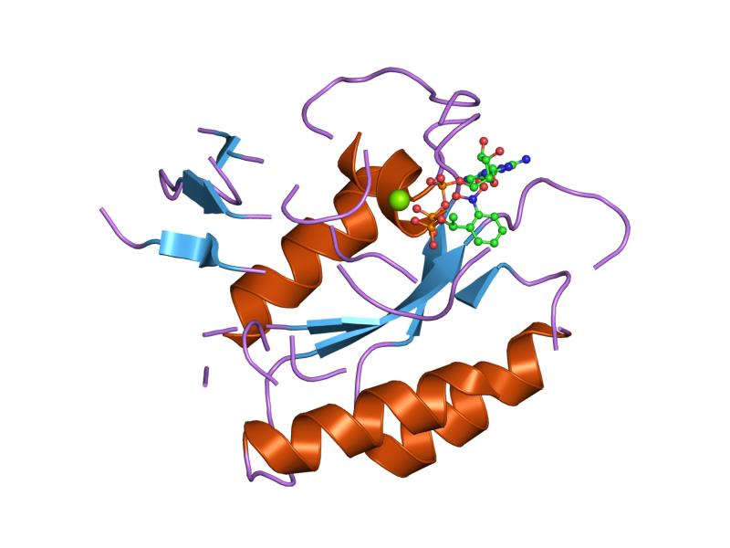 File:PDB 1plj EBI.jpg