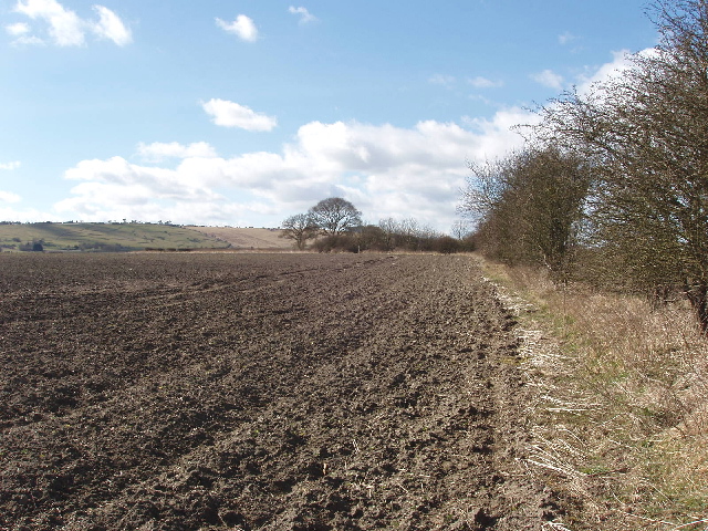 File:Ploughed field, near Draycot Foliat - geograph.org.uk - 133602.jpg