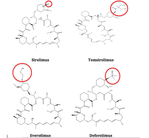 File:Rapalogs structures.png