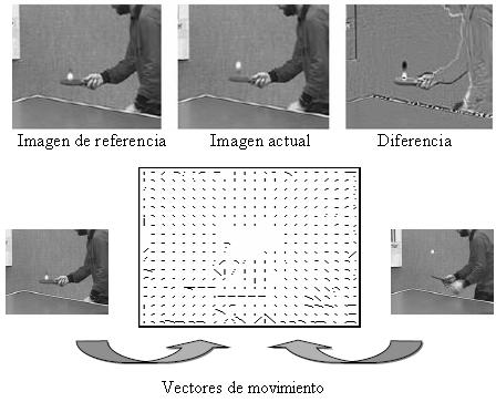 Vectors de moviment