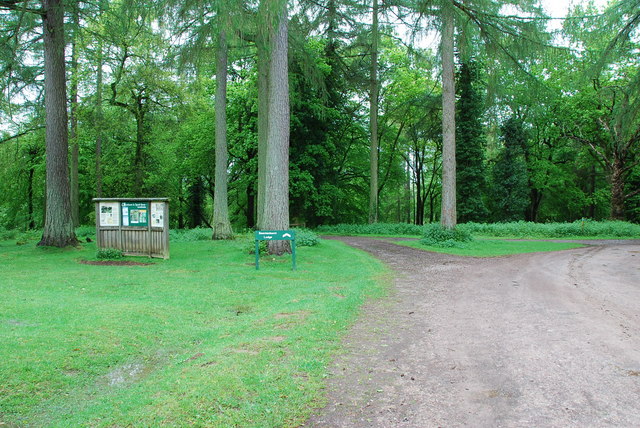Speech House Woodland and parking area. - geograph.org.uk - 1323479