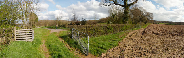 File:Taunton Deane , Park Lane and Ploughed Field - geograph.org.uk - 1243449.jpg