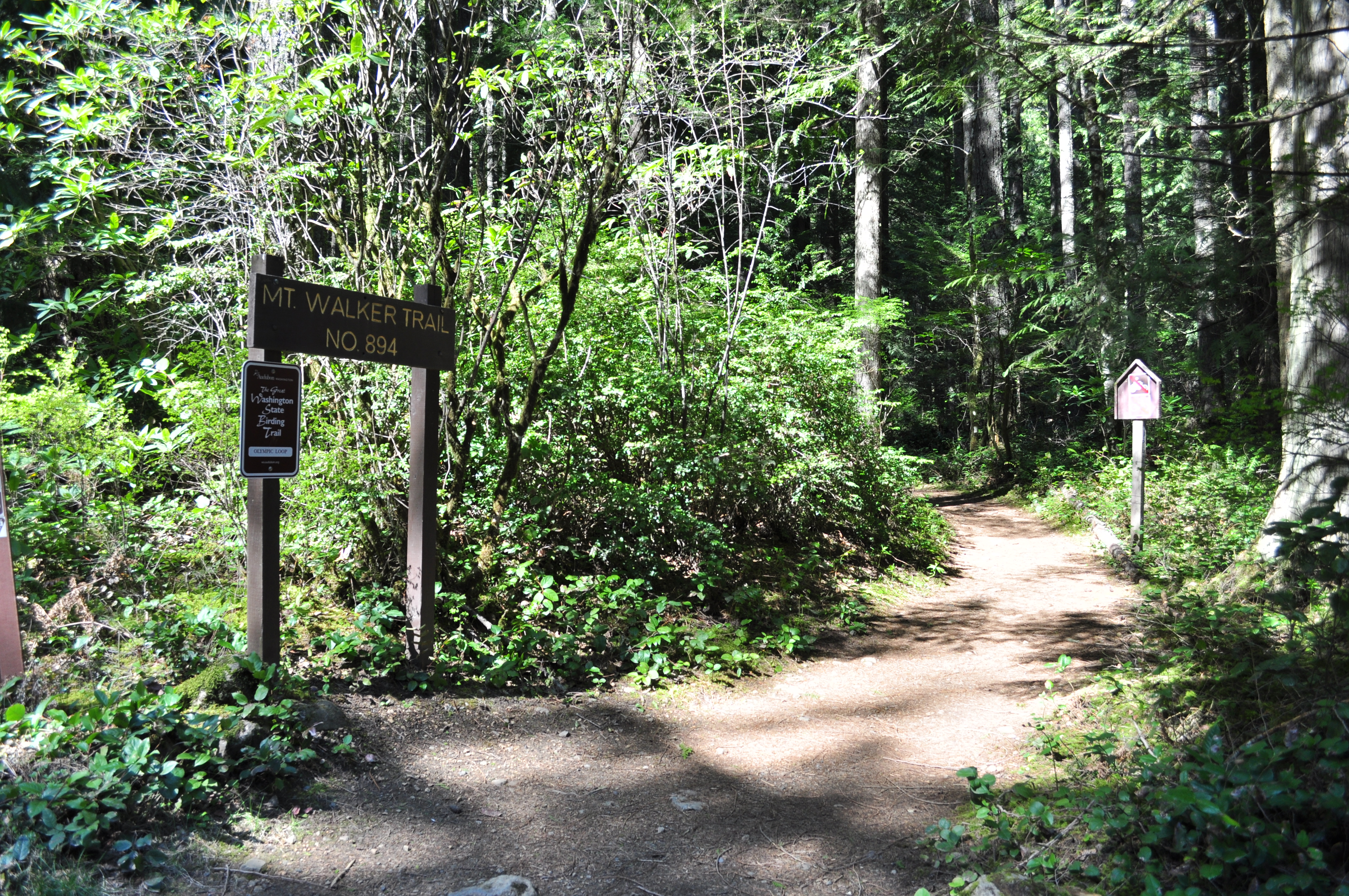 File:Trailhead of Mt. Walker Trail 01.jpg - Wikimedia Commons