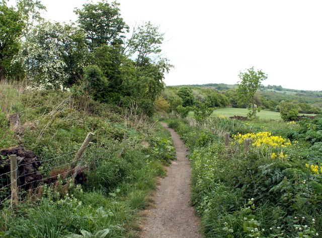Trans Pennine Trail to Silkstone Common - geograph.org.uk - 427825