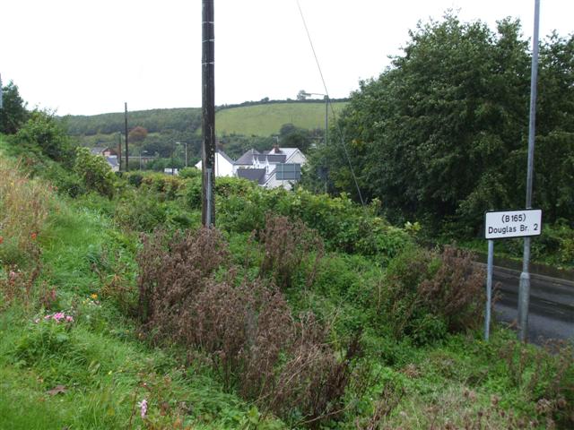 File:Victoria Bridge, County Tyrone - geograph.org.uk - 994478.jpg