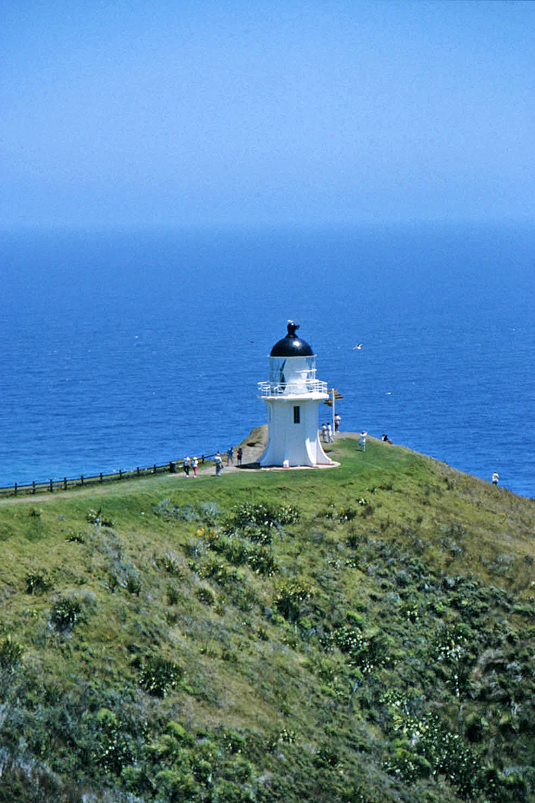 File:.00 3308 Lighthouse on Cape Reinga (New Zealand).jpg - Wikimedia  Commons