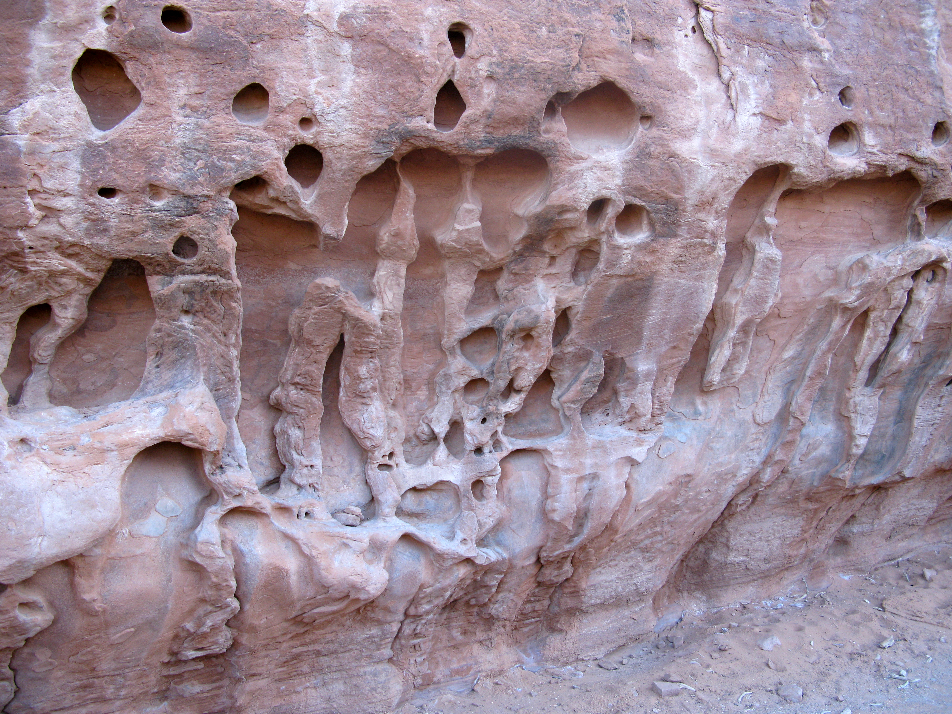 Hiking Through the Mysterious Geological Wonders of the Devil's Garden