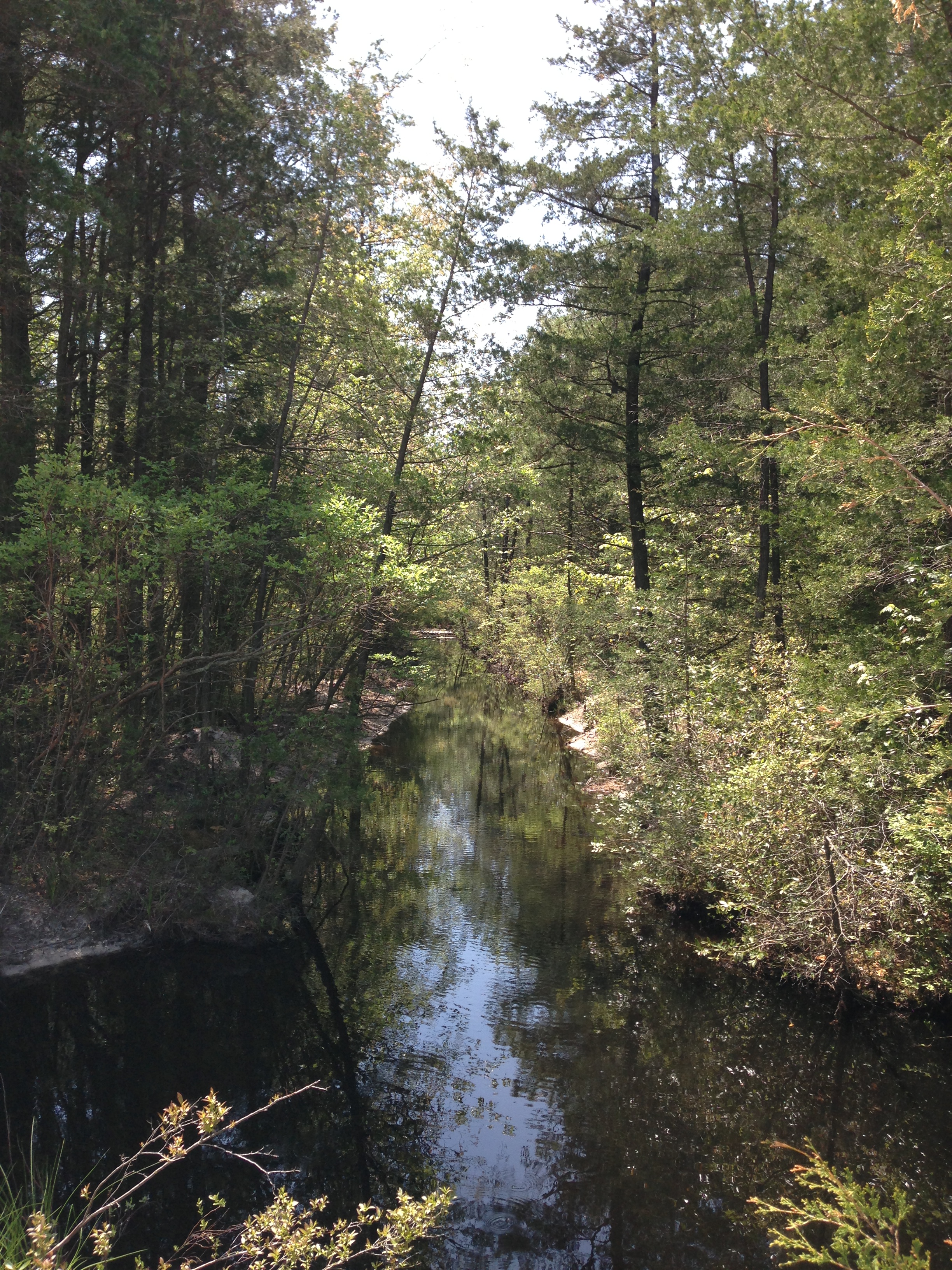 File:2013-05-10 13 42 33 Another stream draining the ...