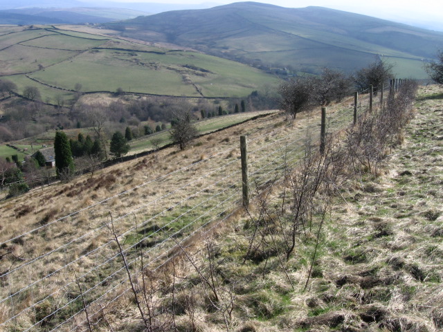 Above Higherfold Farm - geograph.org.uk - 1207643