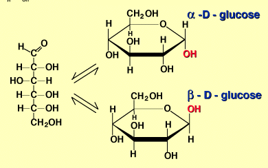 File:Alfa y Beta Glucosa.gif