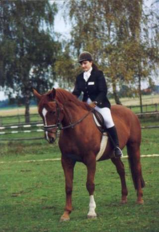 <span class="mw-page-title-main">Mecklenburger</span> Breed of horse