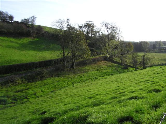 File:Beagh Townland - geograph.org.uk - 592125.jpg